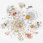 RSS Doesn’t Just Operate in India: Mapping Its International Influence