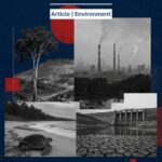 Millions of Trees Down, Eight Years of Toxic Air: What India Celebrates This Environment Day