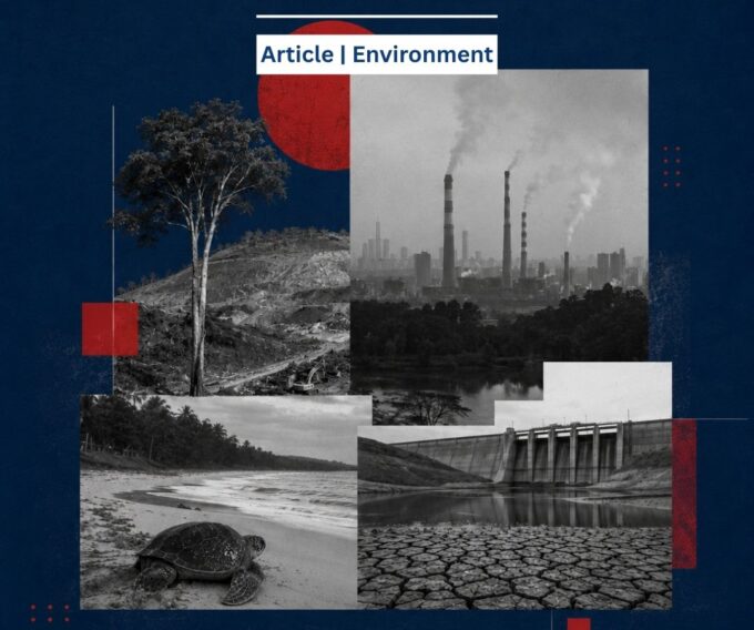 Millions of Trees Down, Eight Years of Toxic Air: What India Celebrates This Environment Day